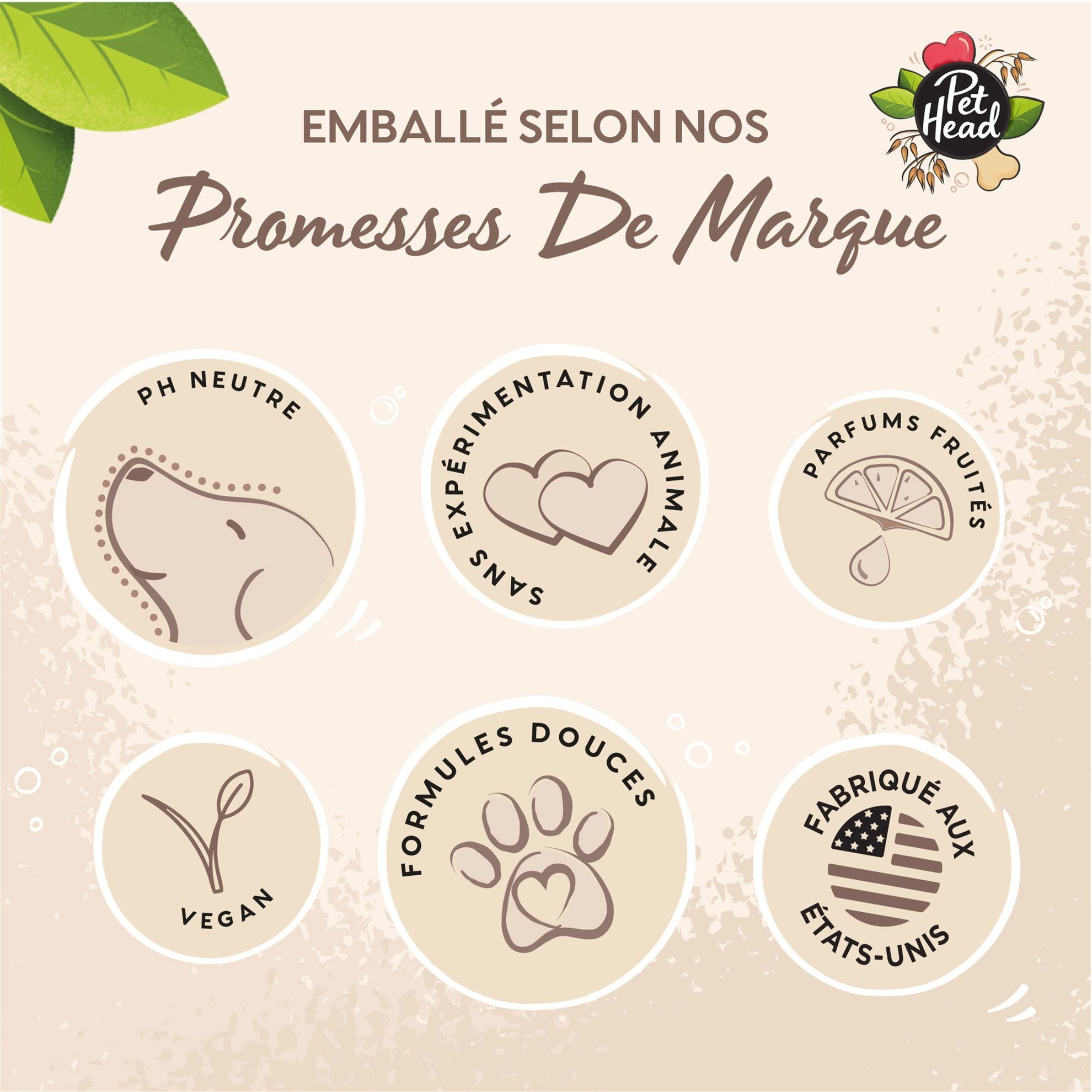 Baume pattes noix de coco Pet Head