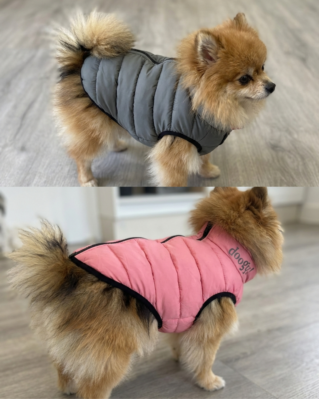 Doudoune Lighty Réversible pour chien