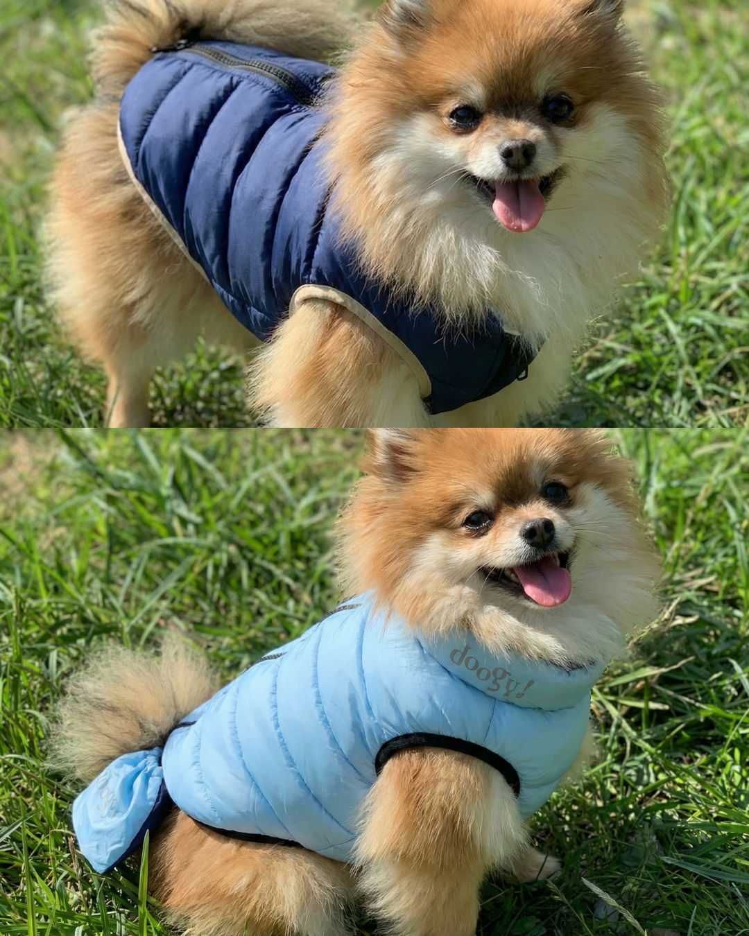 Doudoune Lighty Réversible pour chien