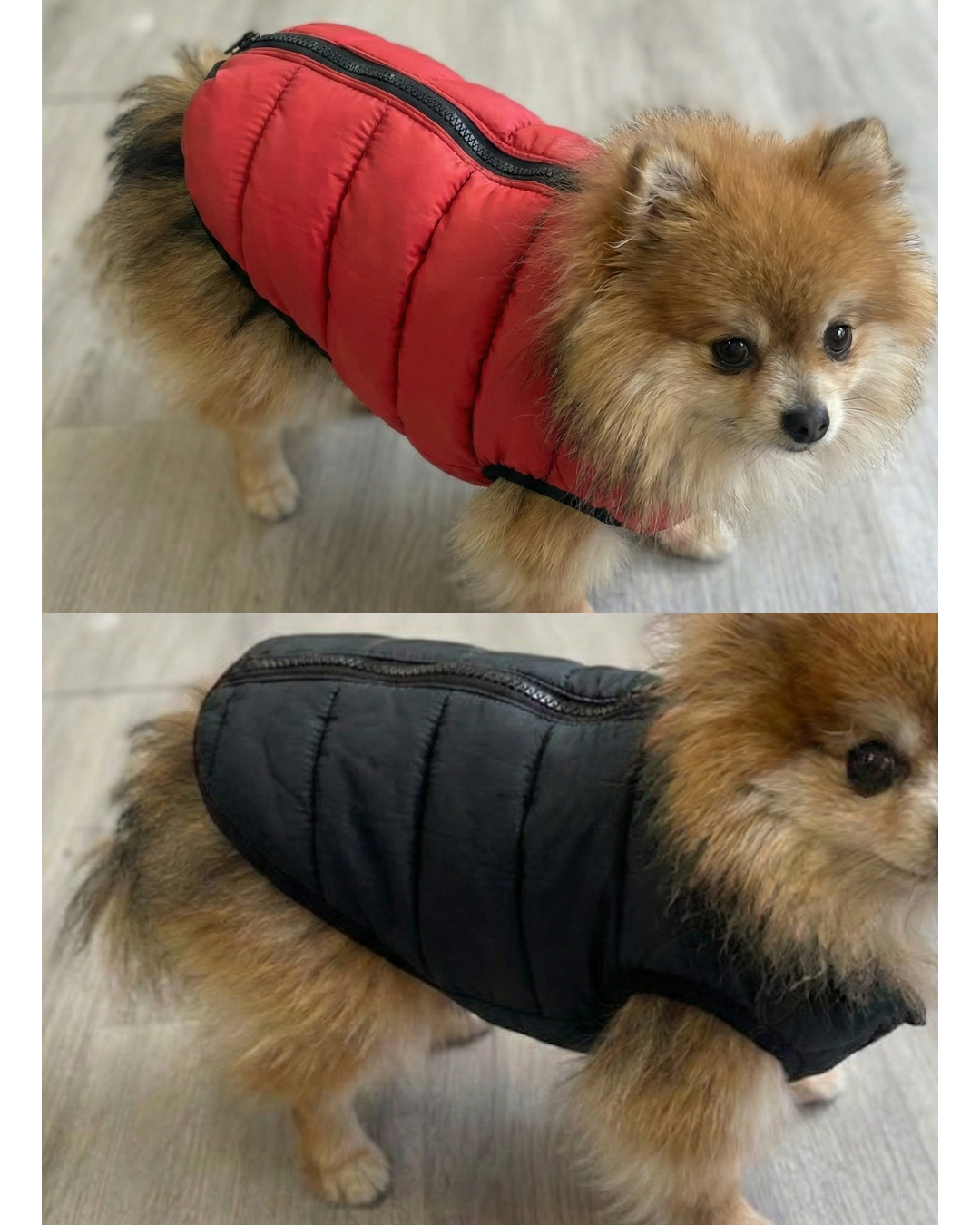 Doudoune Lighty Réversible pour chien