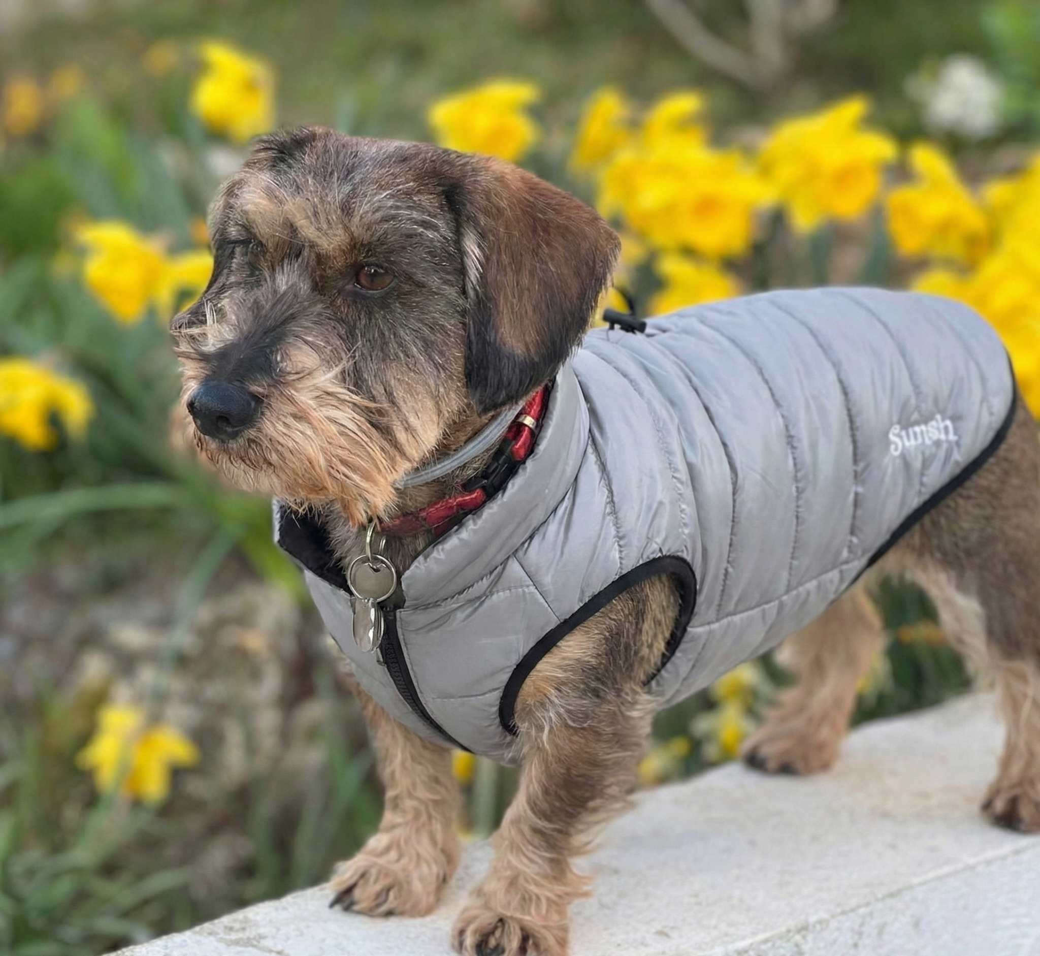 New Doudounes Fashion FUN