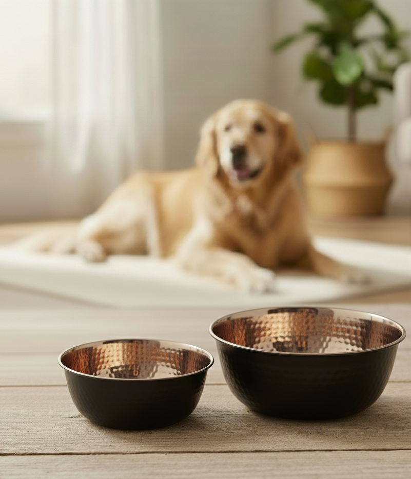 Gamelle noir effet martelé