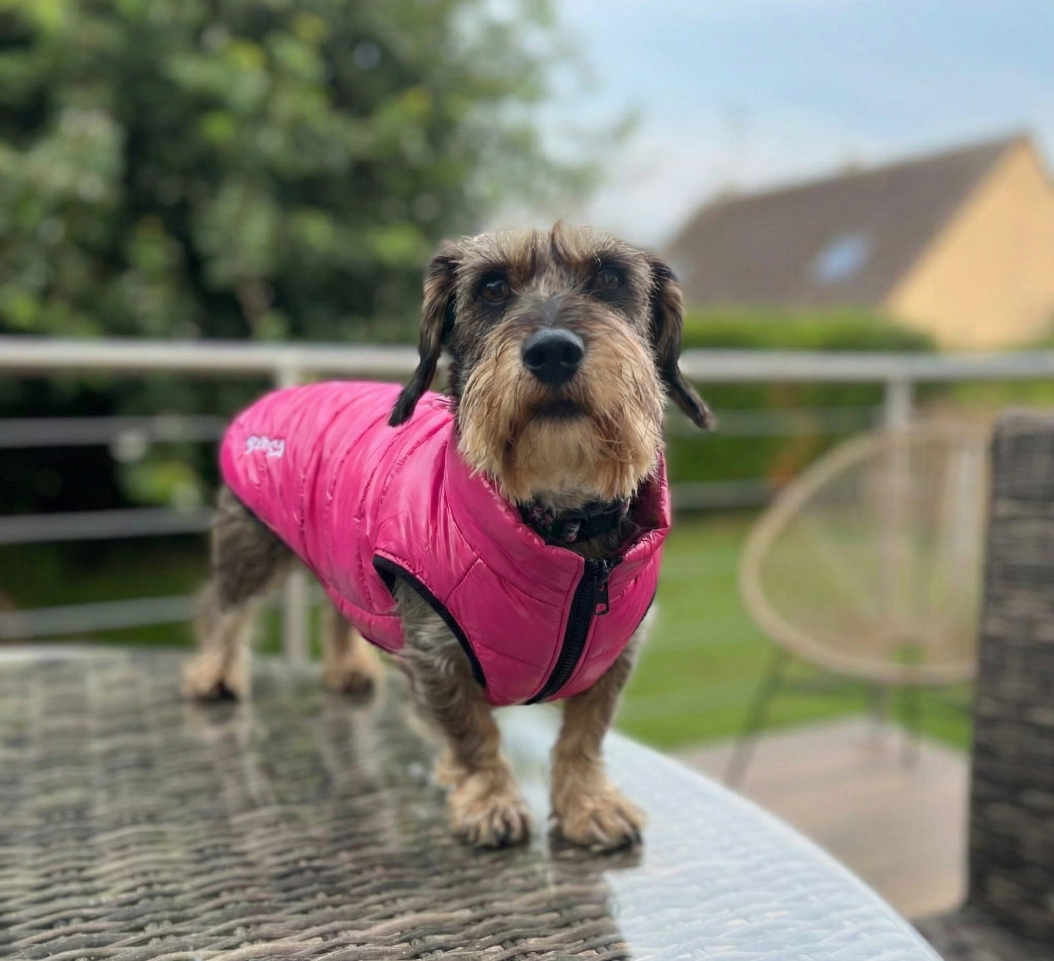 New Doudounes Fashion FUN