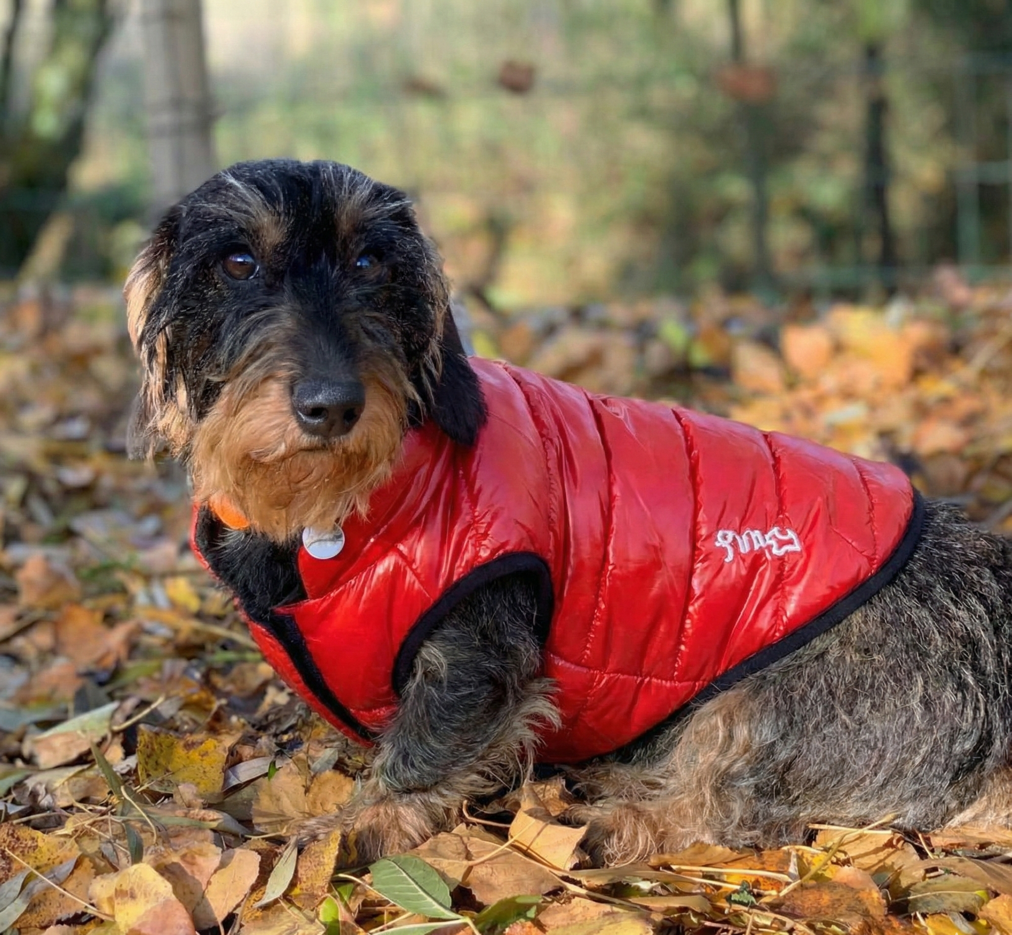 New Doudounes Fashion FUN