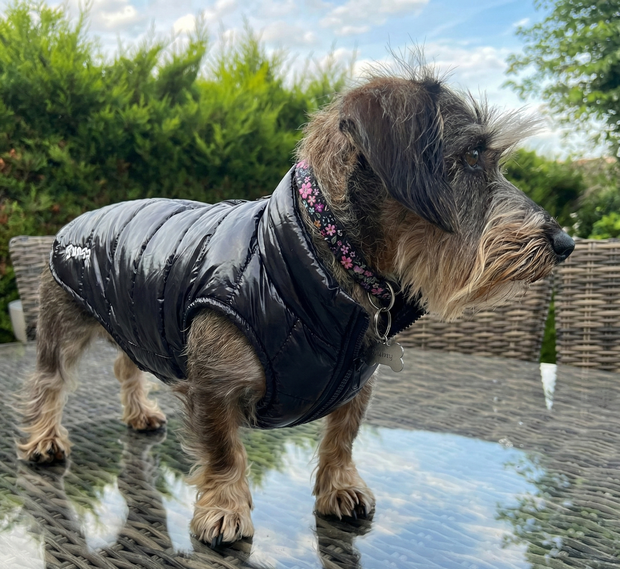 New Doudounes Fashion FUN