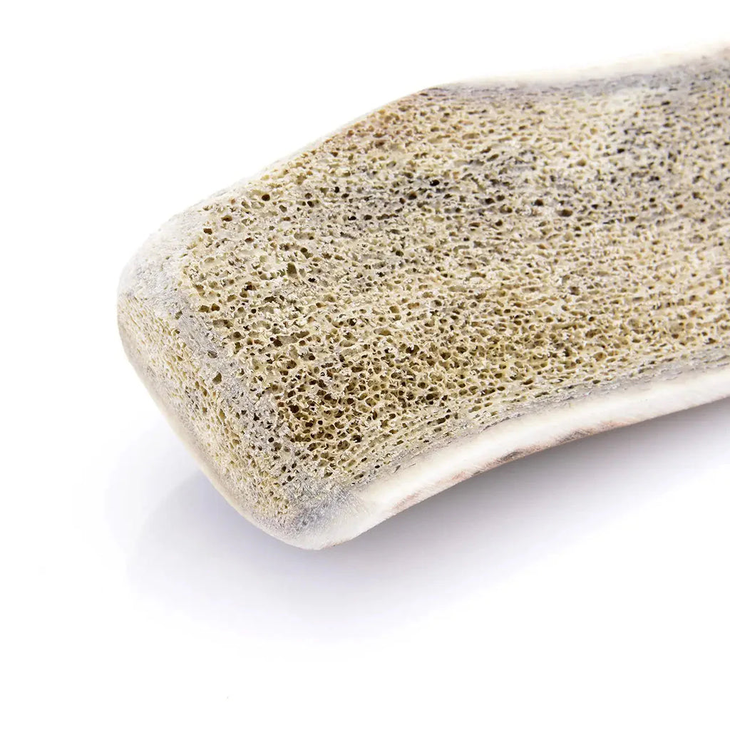 Bois de cerf pour chien tranché 🫎