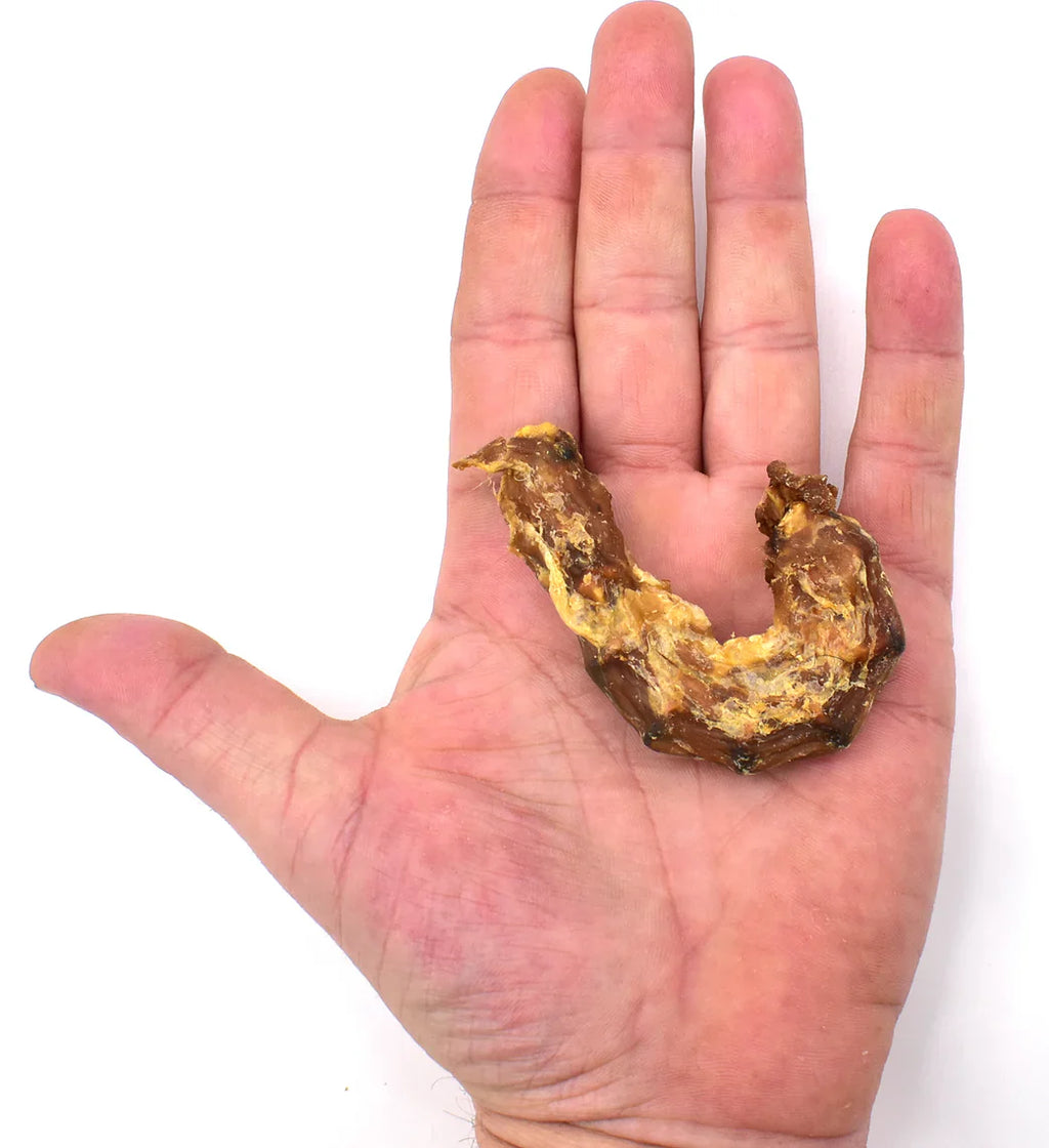 Cou de poulet pour chien 🐔