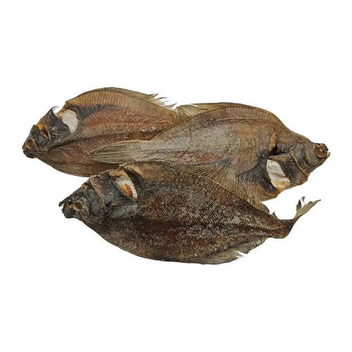 Limande séchée pour chien 🐠