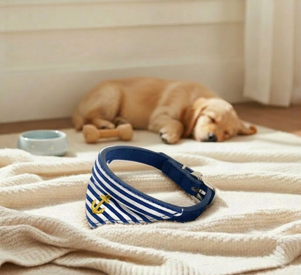 Collier Chien Doogy Matelot