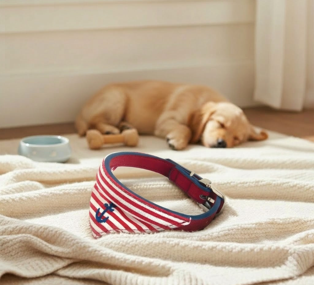 Collier Chien Doogy Matelot